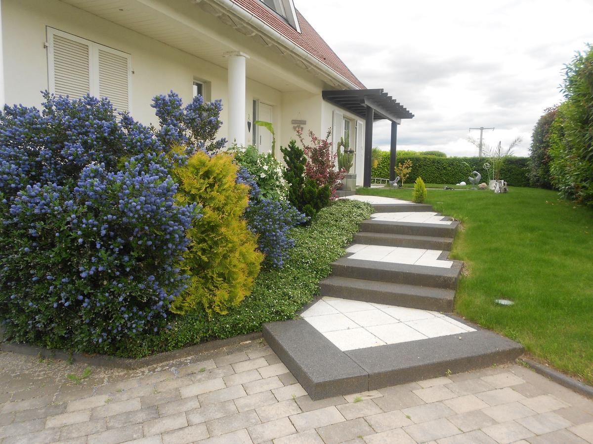 Au Coeur Du Vignoble Bed & Breakfast Orschwiller Eksteriør bilde